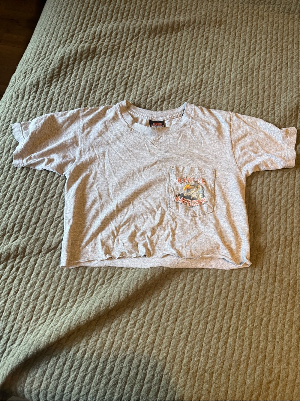 Harley-Davidson Light Gray Short Sleeve Pocket Tee with Eagle Graphic